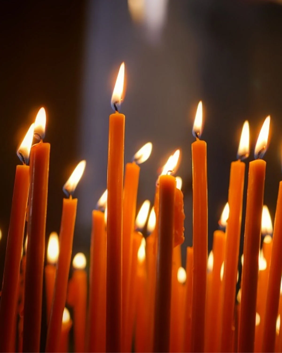 Celebración del martes en la Parroquia San Francisco de Asís